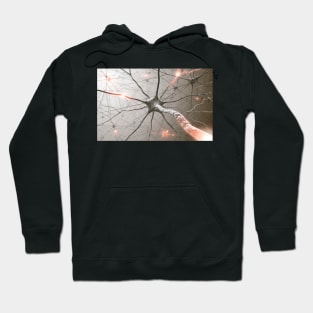 Neural network, artwork (F006/8715) Hoodie